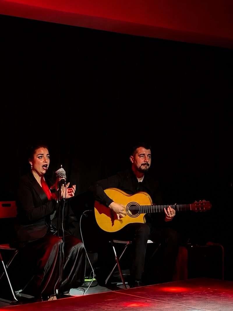 Guitarrista, toque de Flamenco & Events Barcelona