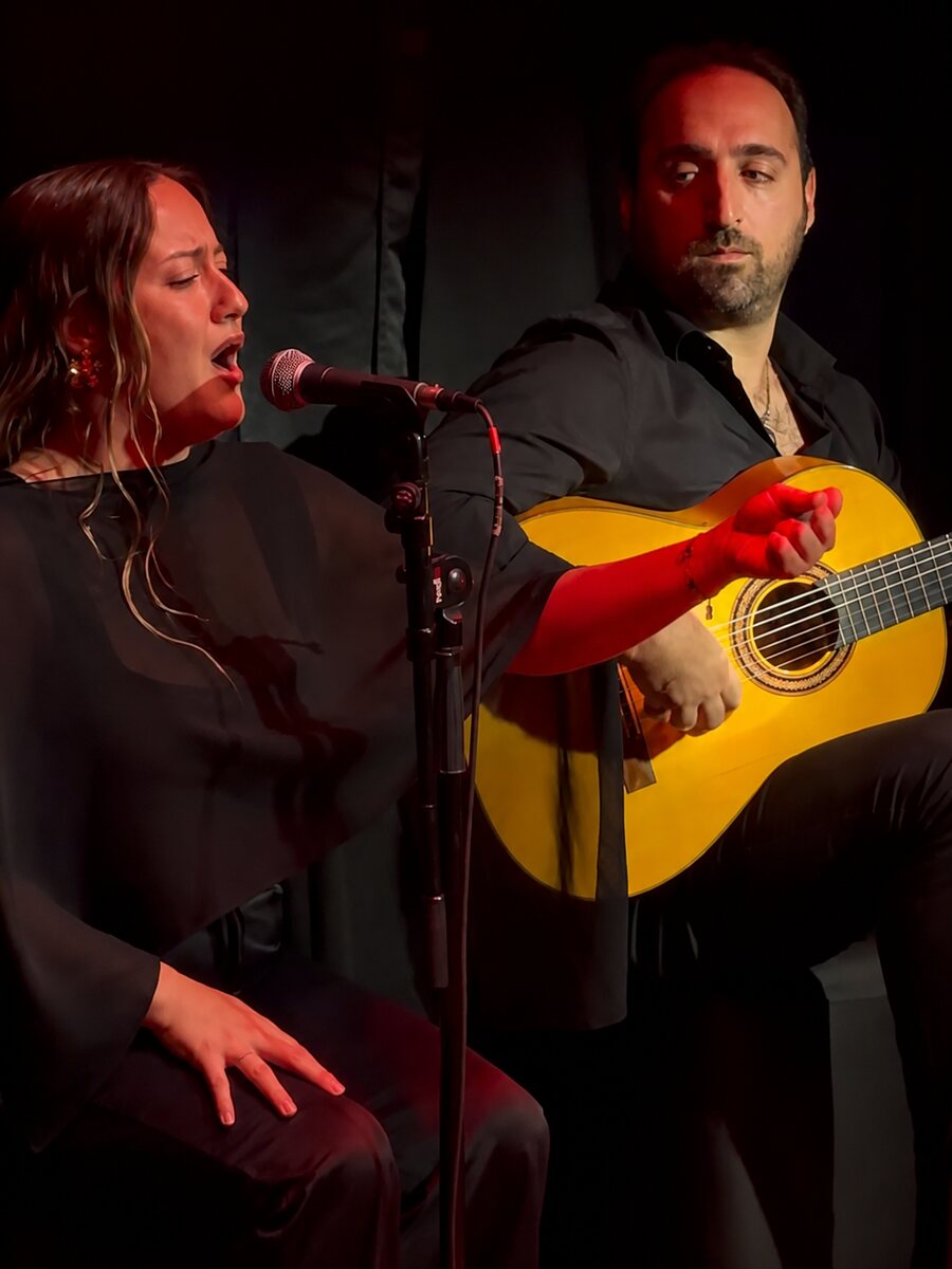 Guitarrista, toque de Flamenco & Events Barcelona